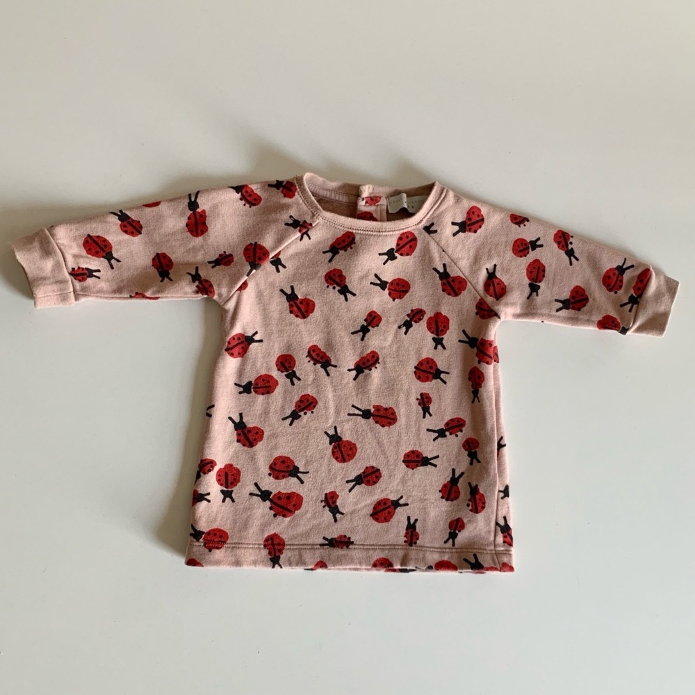 Stella McCartney kids ladybug Sweatshirt 3 month